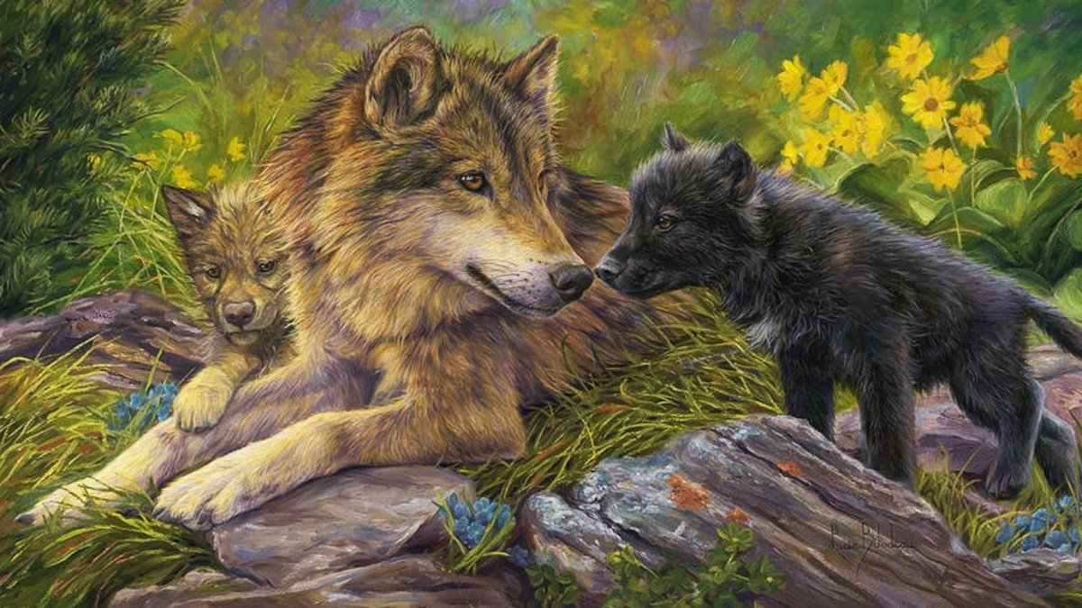 Волчица с волчатами рисунок карандашом (44 фото)