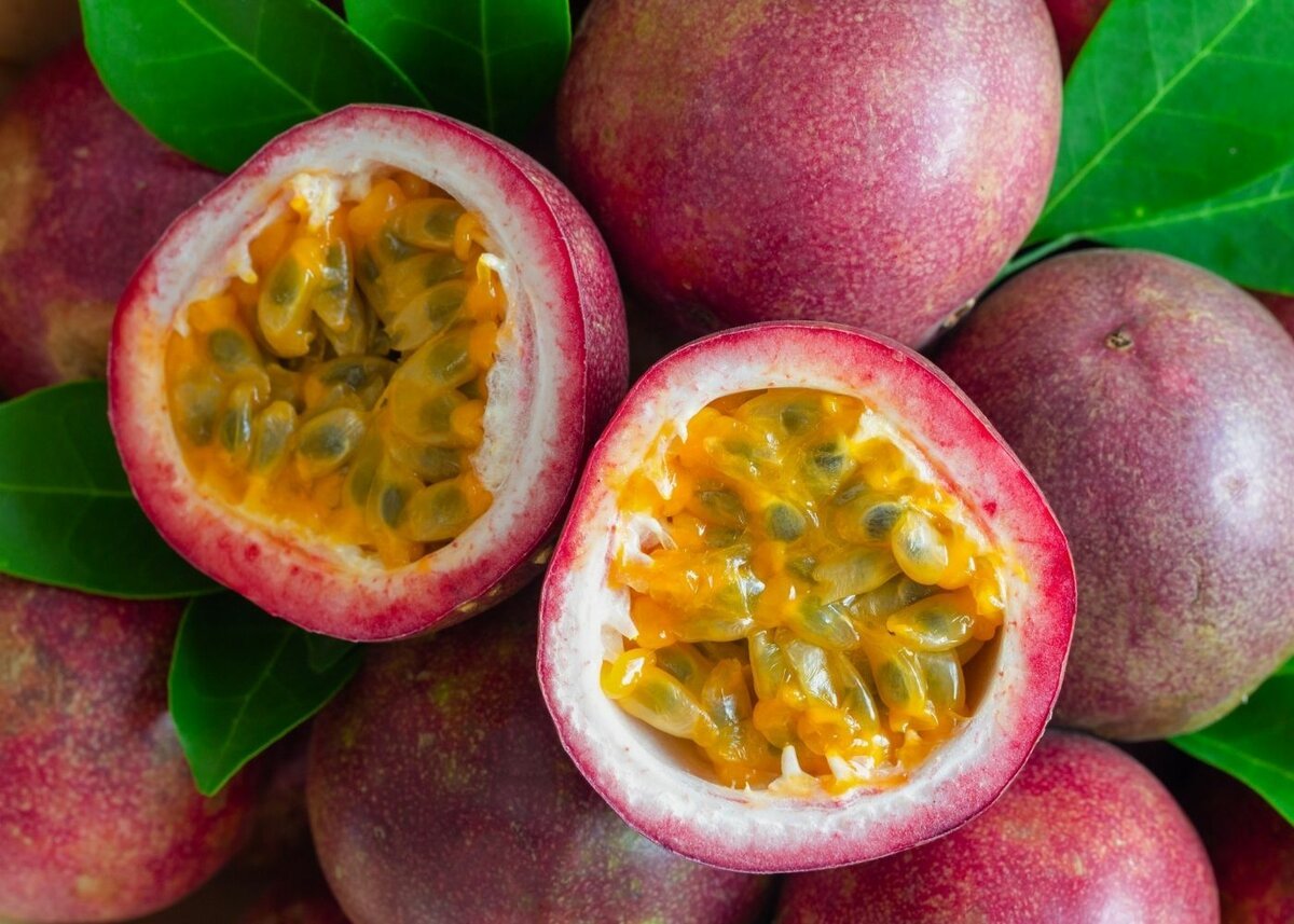 Passion fruit фото