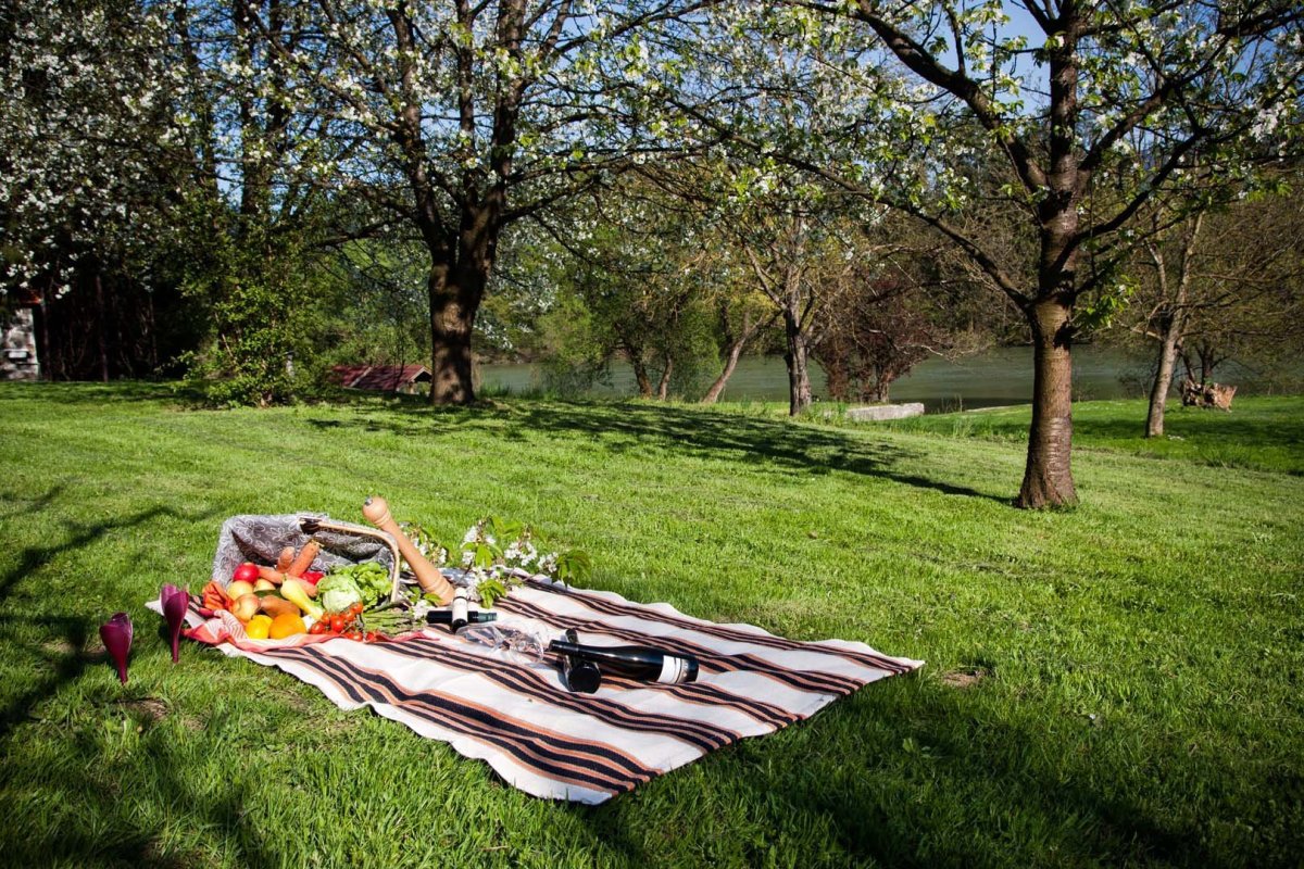 Холланд парк пикник