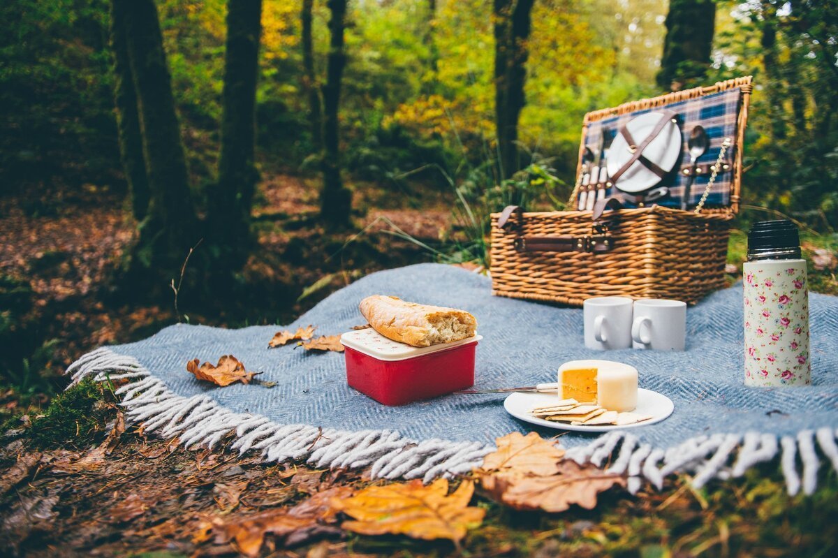 пикник осенью на природе фото