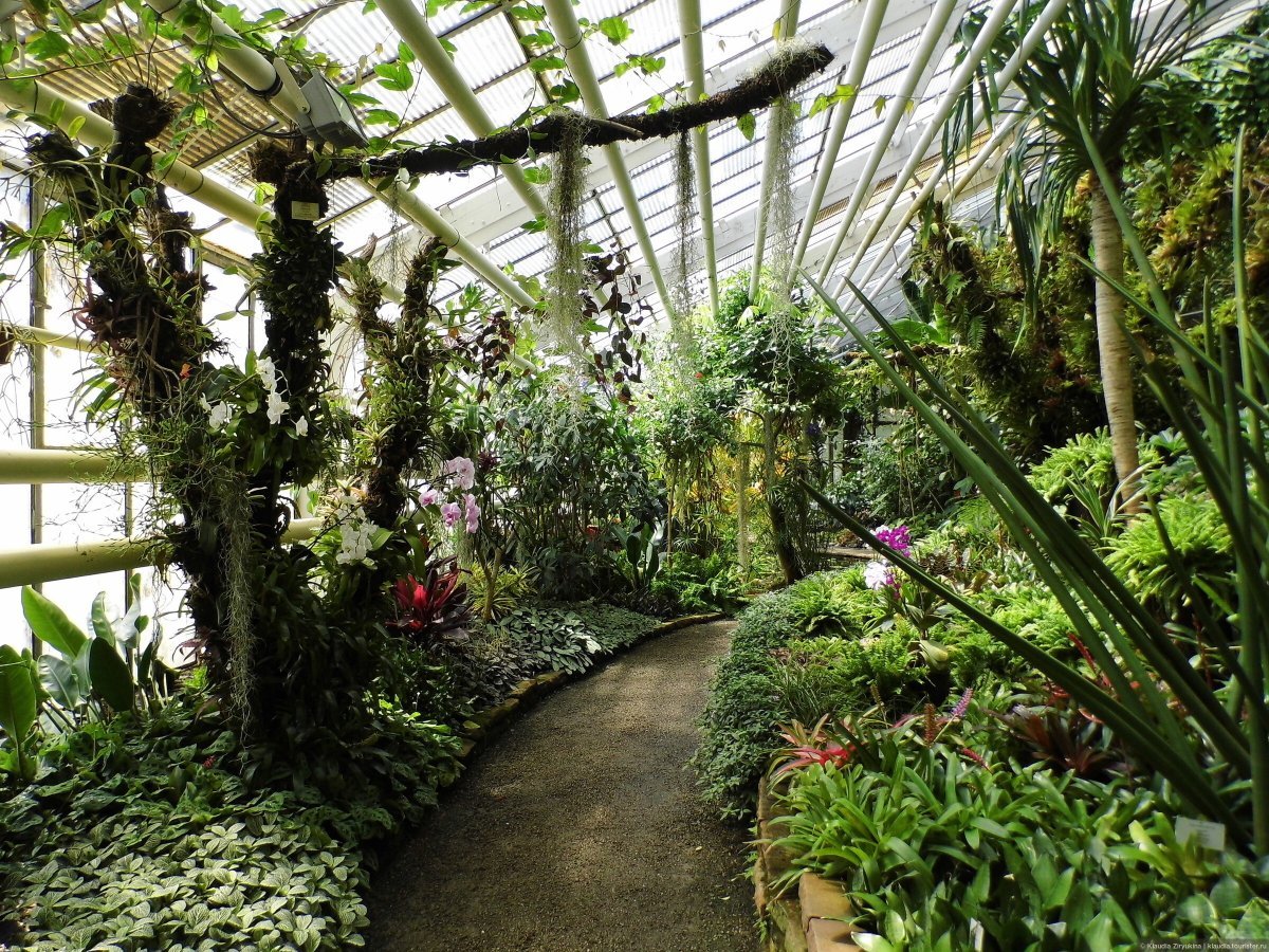 Ботанический сад ЮФУ оранжерея
