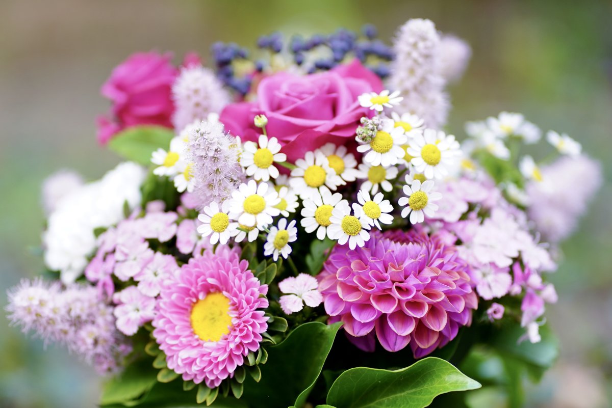 цветы фото высокого разрешения букеты