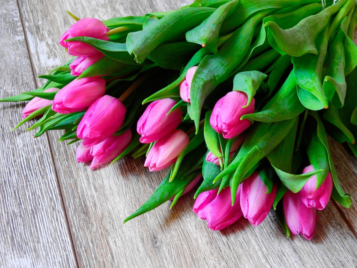 Фото букет тюльпанов на столе фото