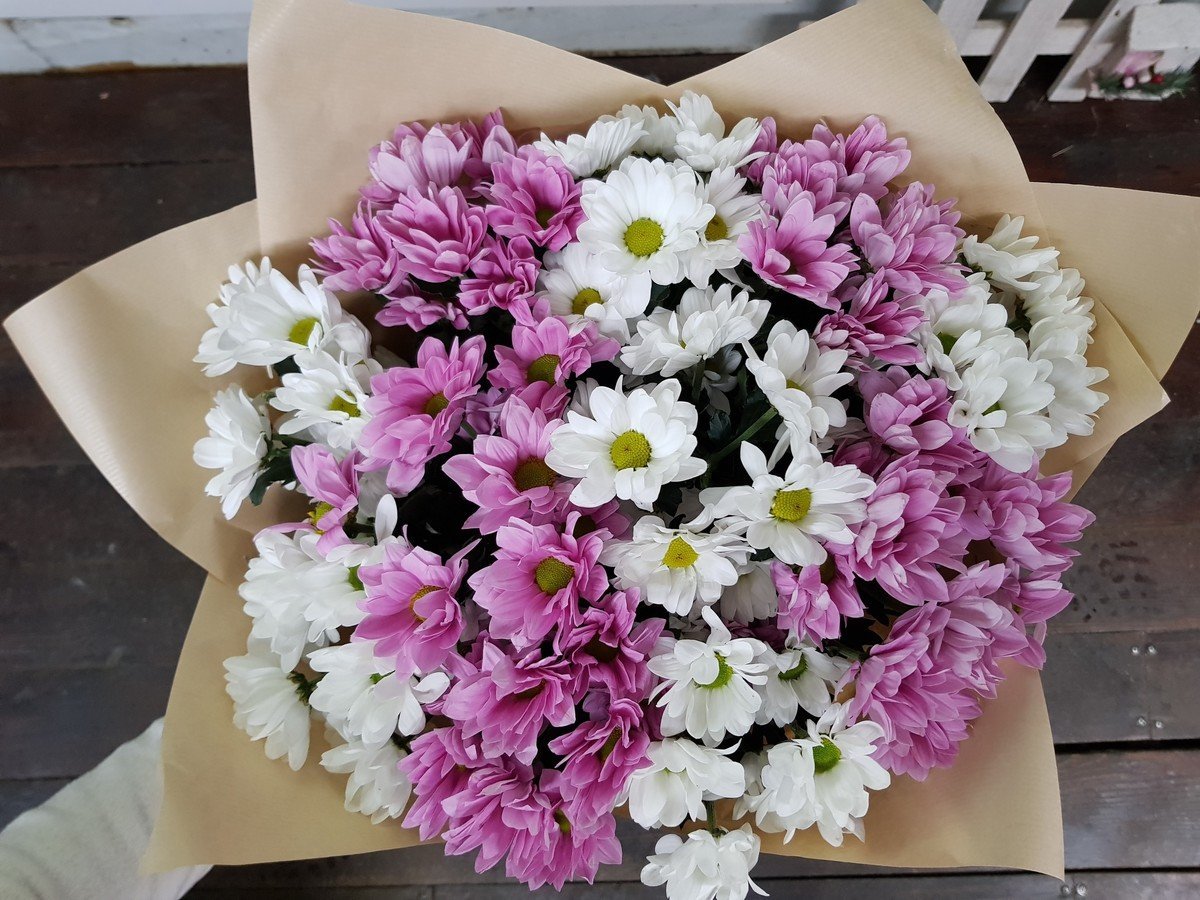 Фото хризантемы цветы букеты дома