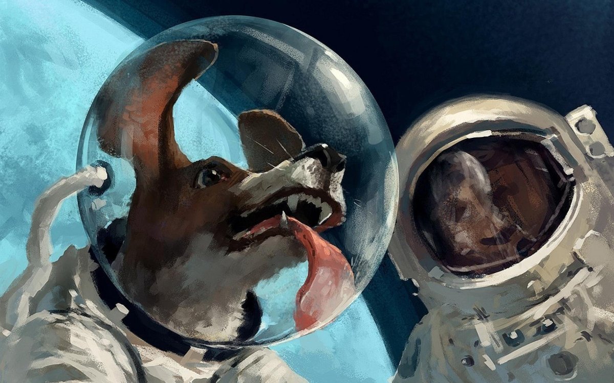 Собаки космонавты