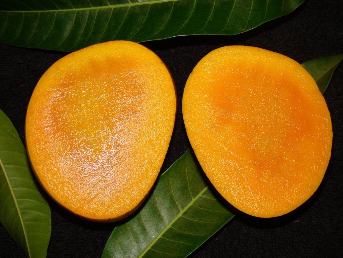 Индийский желтый манго
