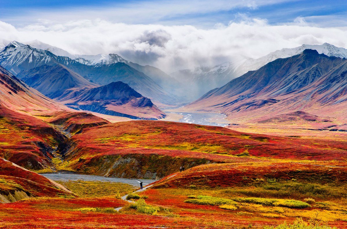 Национальный парк Денали Аляска