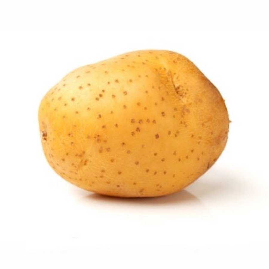 Картофелина на белом фоне