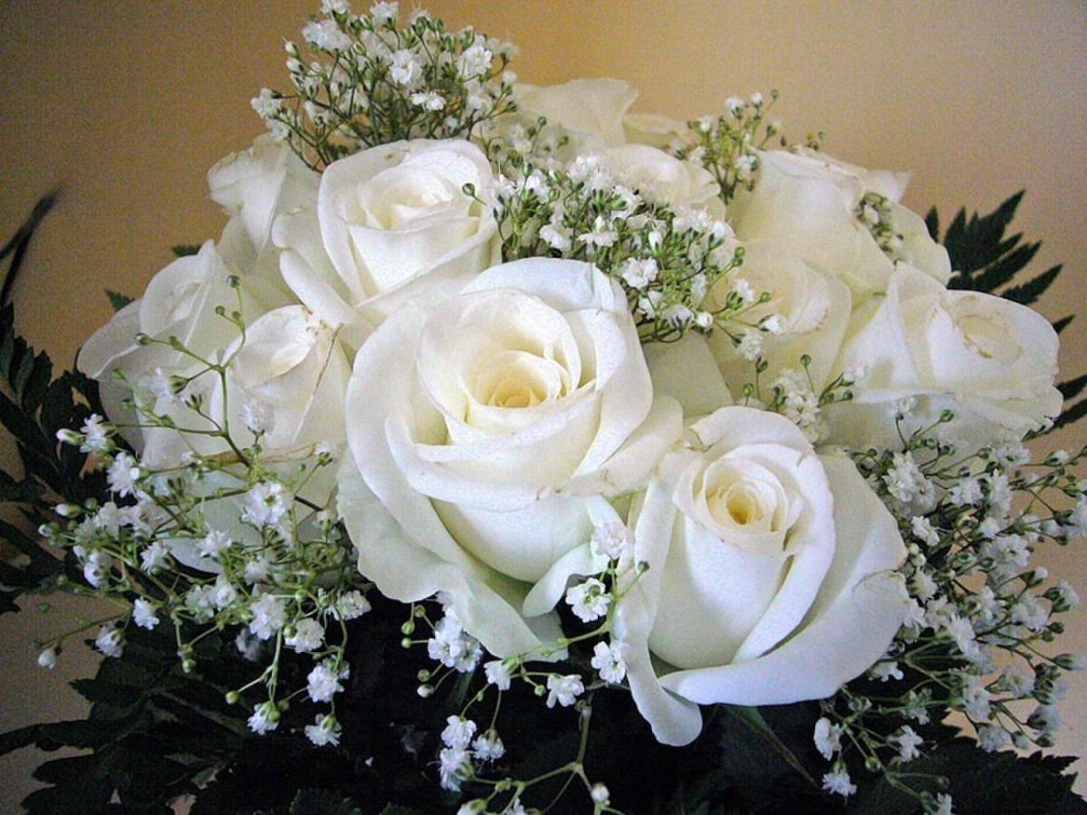 Шикарный Букет Белых Роз Для Любимой