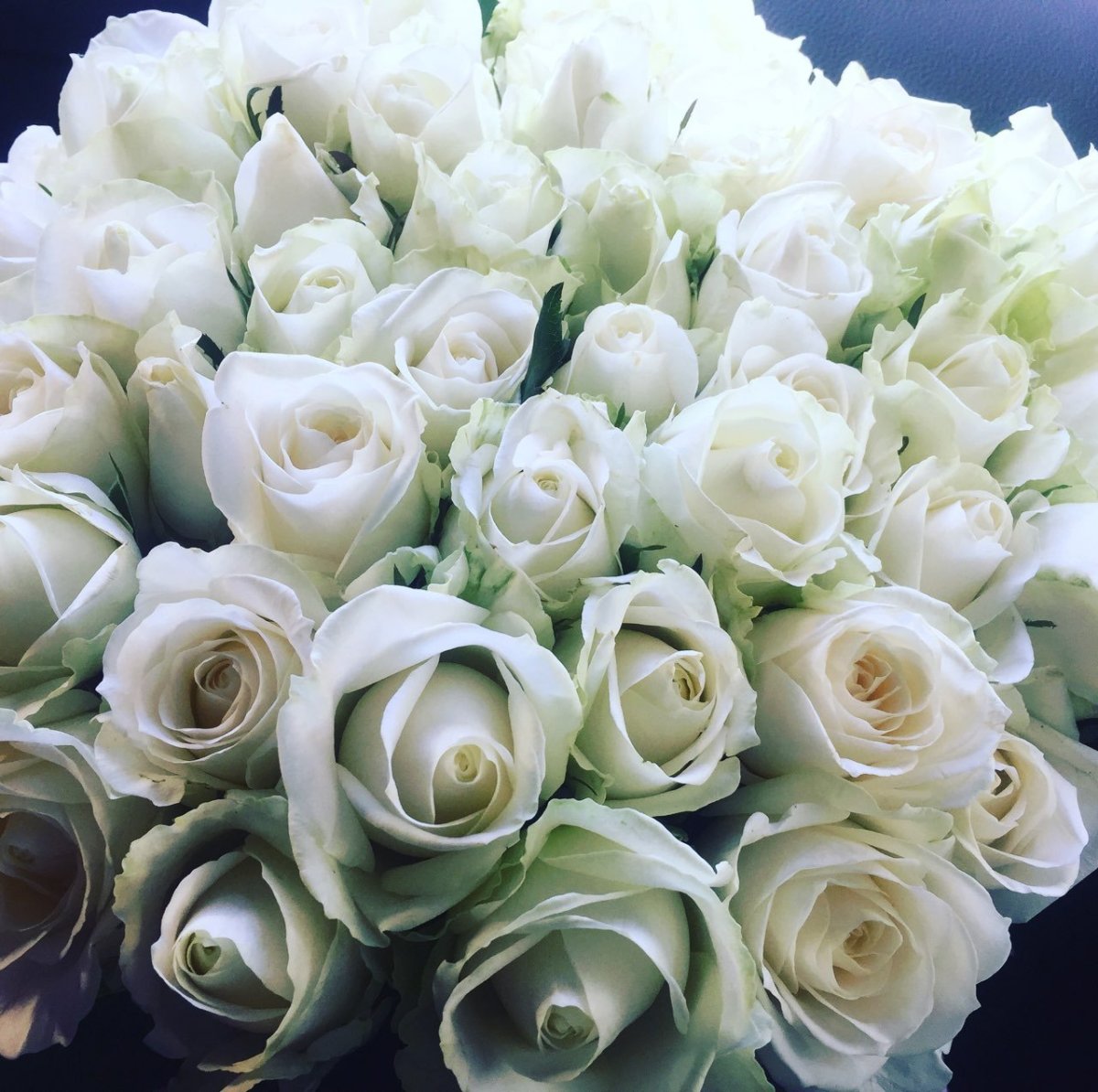 Белые розы фото красивые букеты