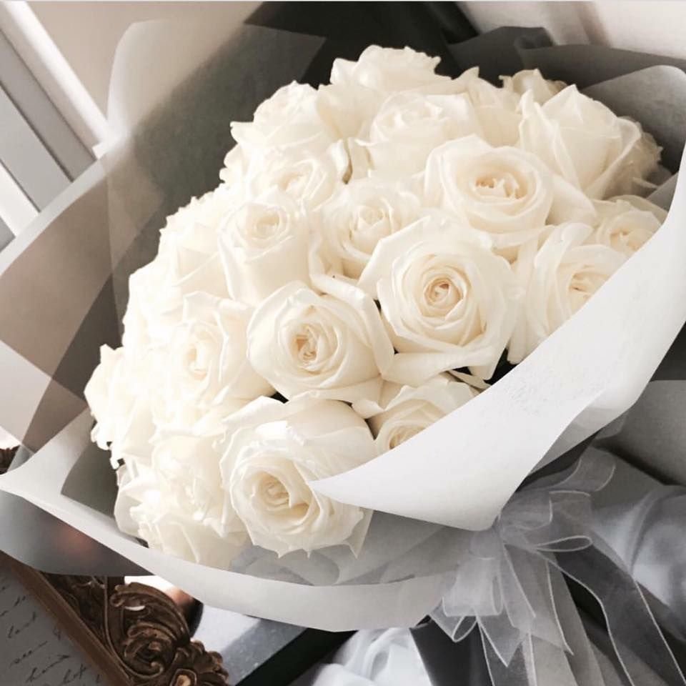 фото самых красивых белых роз