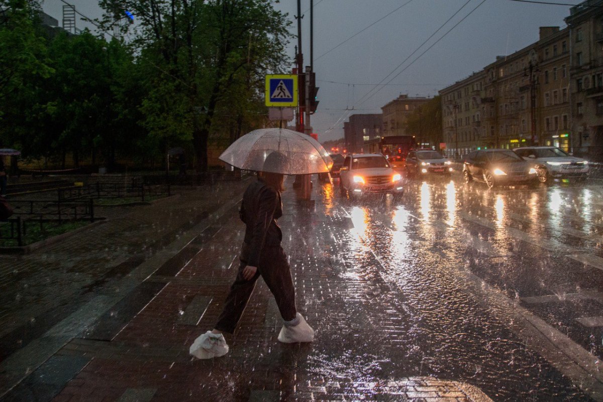 В петербурге дождь картинки