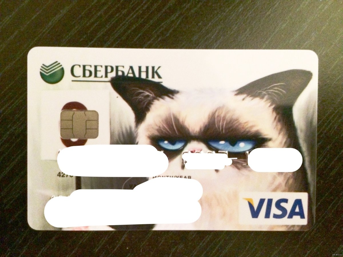 Банковская карта с котом.
