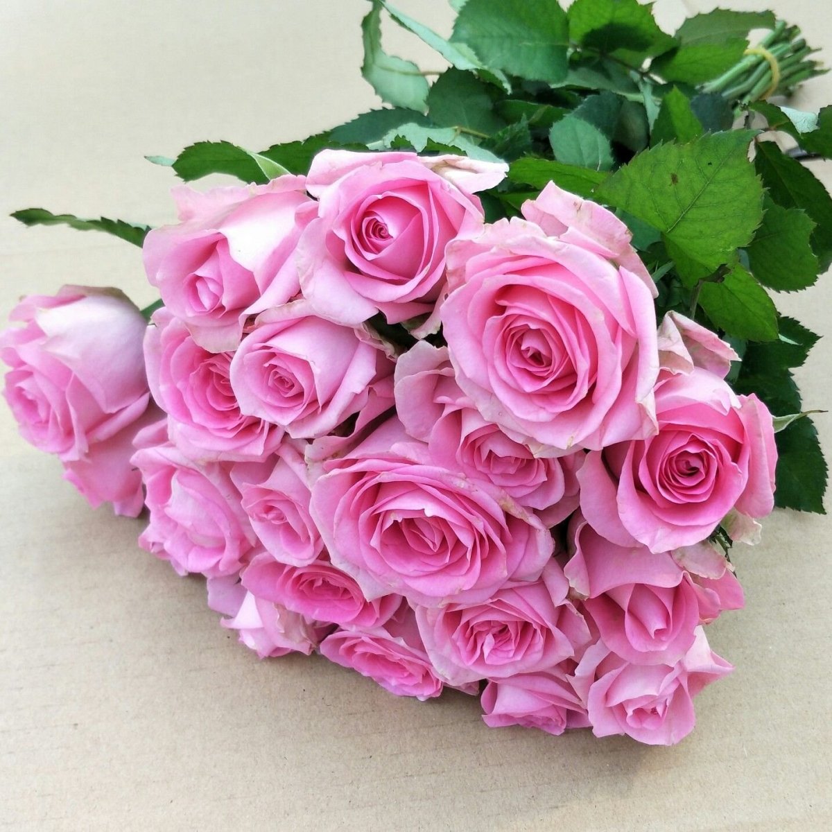 букет цветов фото розы розовые