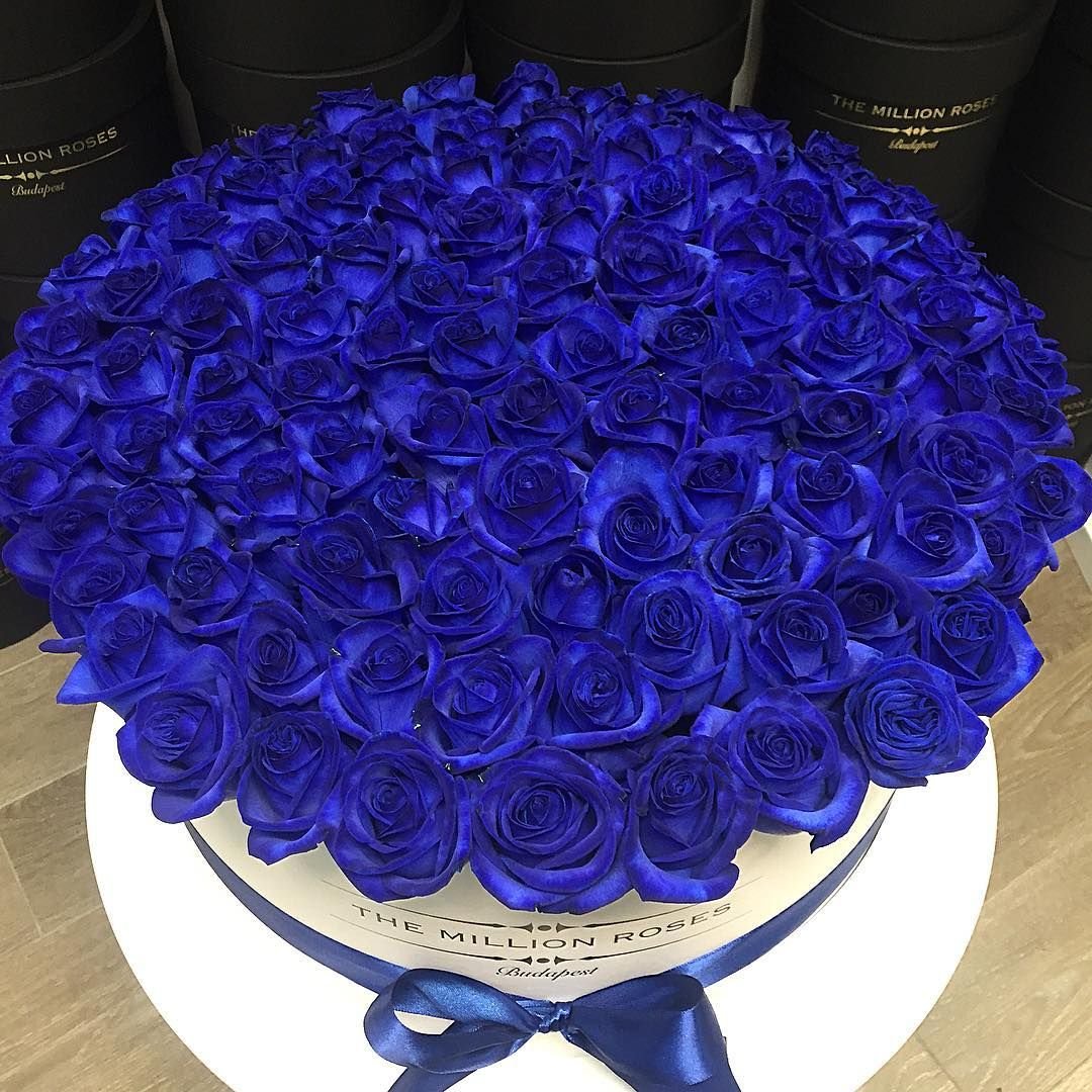 Огромный букет синих роз