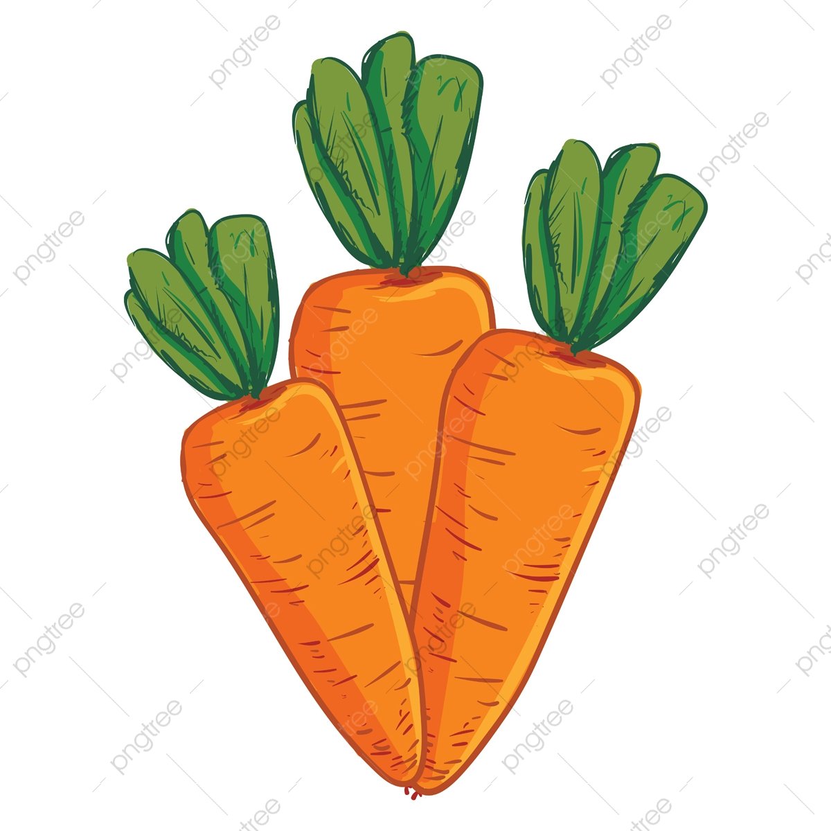 Пучок из 3 морковок