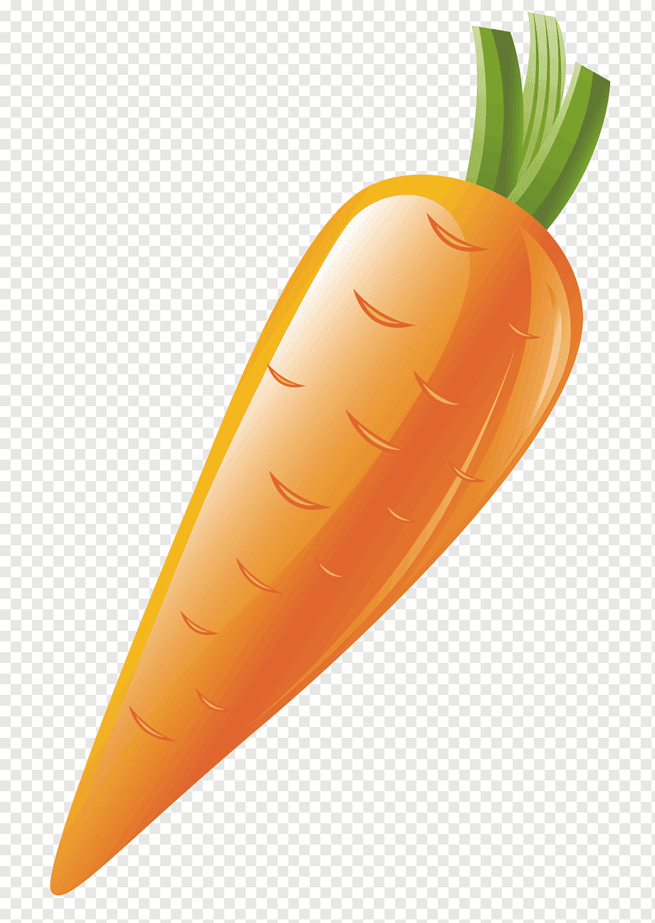 Морковь рисунок