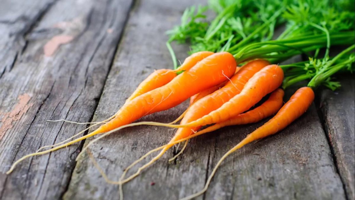 Почему нельзя морковь. Морковь Нандрин. Морковь с ботвой. Морковь фон.
