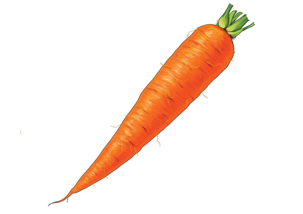 Морковка для детей