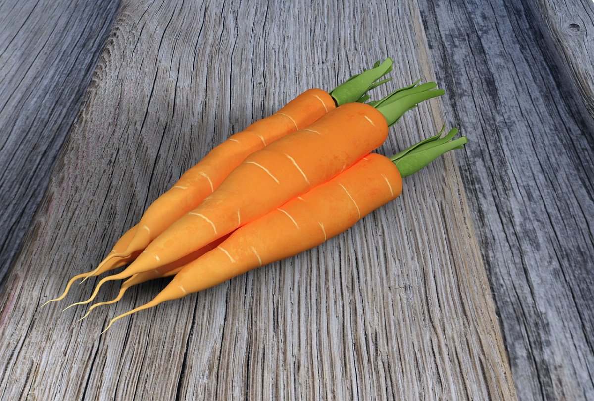 Морковь Дикая