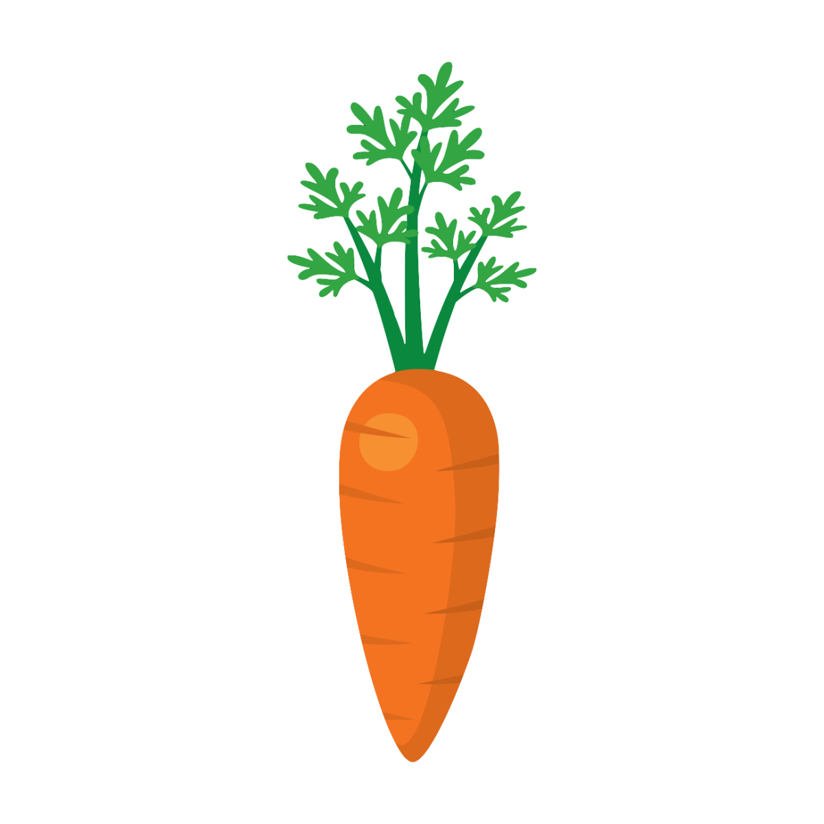 Картинка морковь на прозрачном фоне. Морковь без ботвы. Морковь с ботвой на прозрачном фоне. Морковь на грядке на прозрачном фоне. Листья моркови.