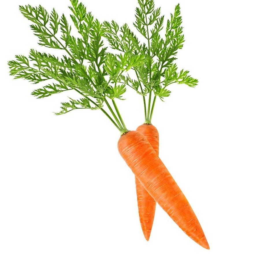 Морковь на прозрачном фоне