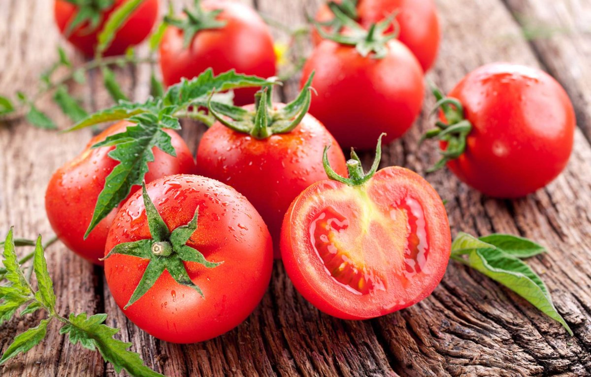 помидоры свежие фото