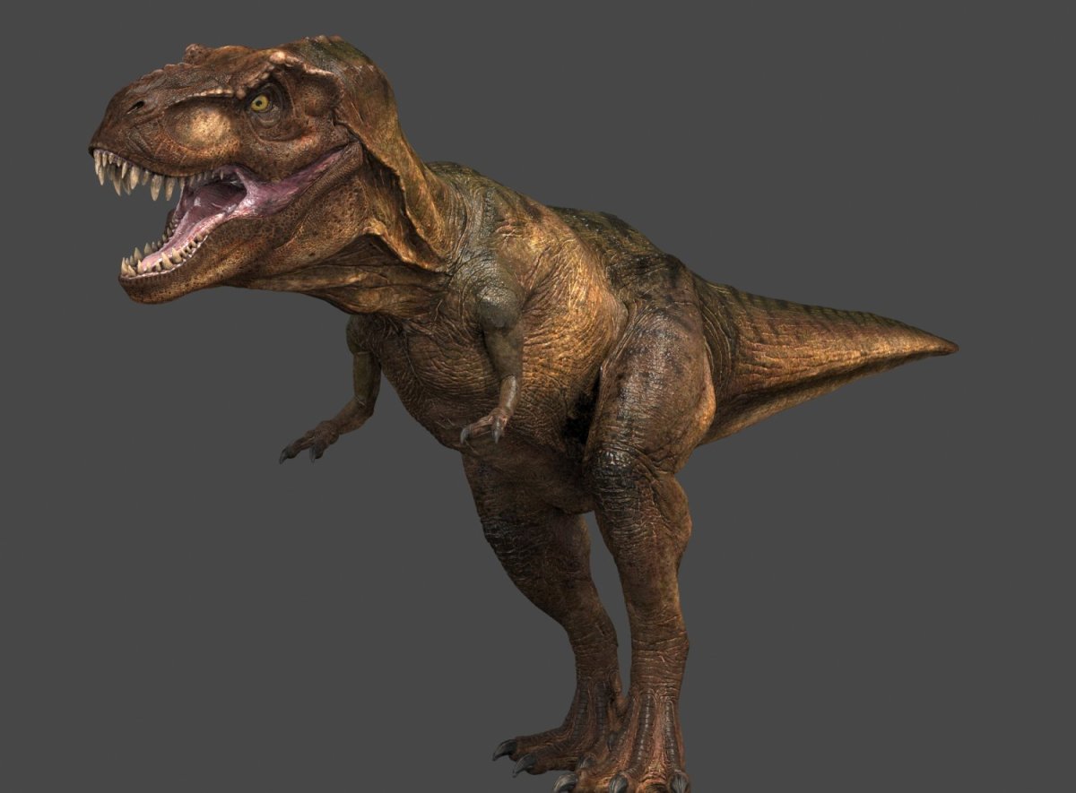 Тираннозавр рекс 3д модель