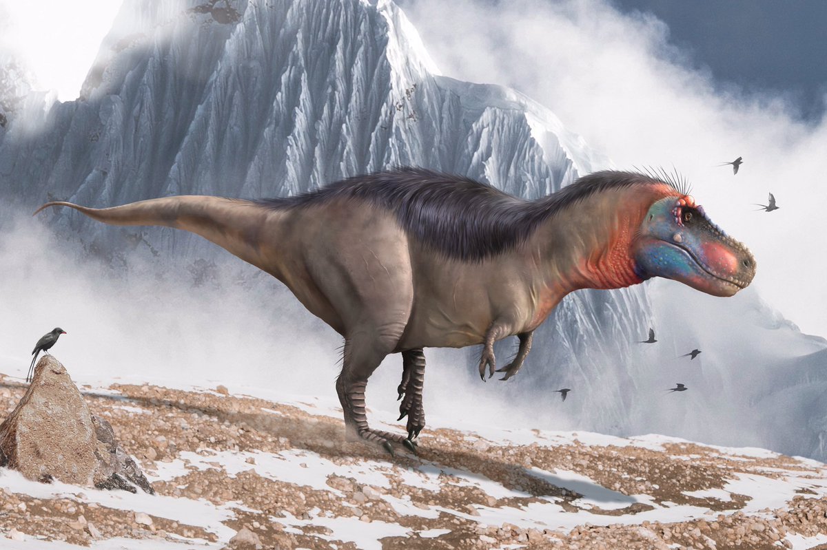 Палеоарт Тираннозавр рекс