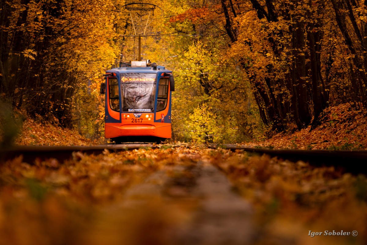 Сокольники трамвай осень