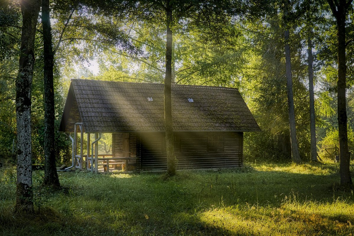 Таинственный домик в лесу