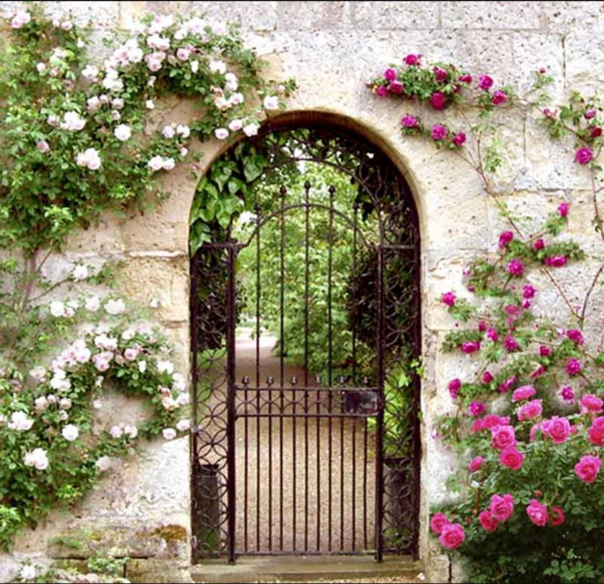 Красивая арка. Гарден гейт (Garden Gate) плетистая. Арка увитая плющом. Увитая плющом беседка арка в саду. Ворота увитые плющом.