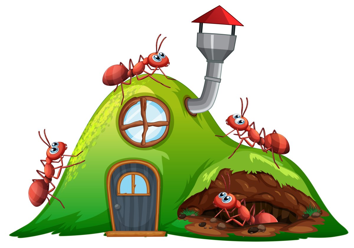 Дом муравьев для детей