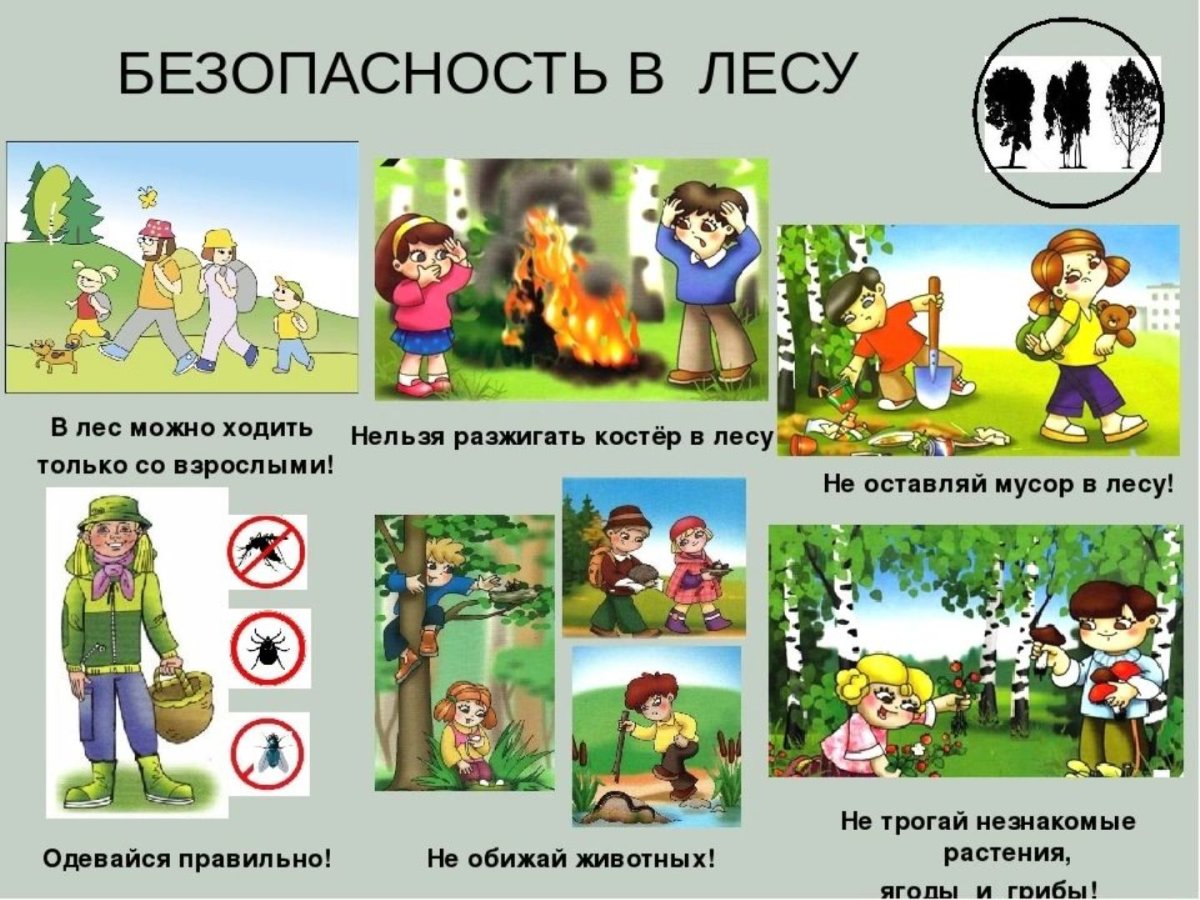 Безопасность в лесу презентация