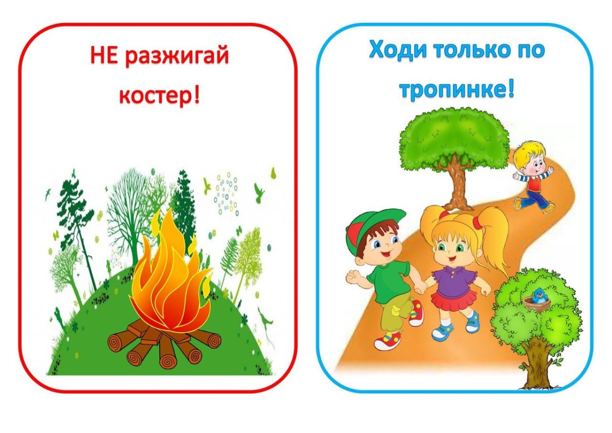 Что можно делать на природе картинки для детей