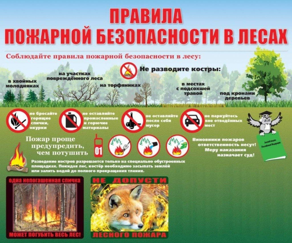 Лесной пожар правила пожарной безопасности