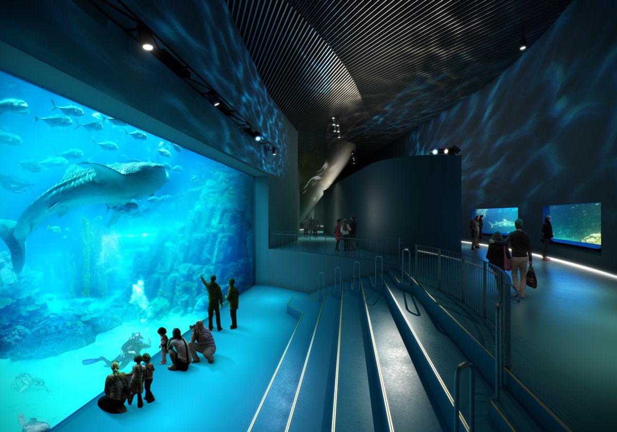 Национальный аквариум Дании голубая Планета