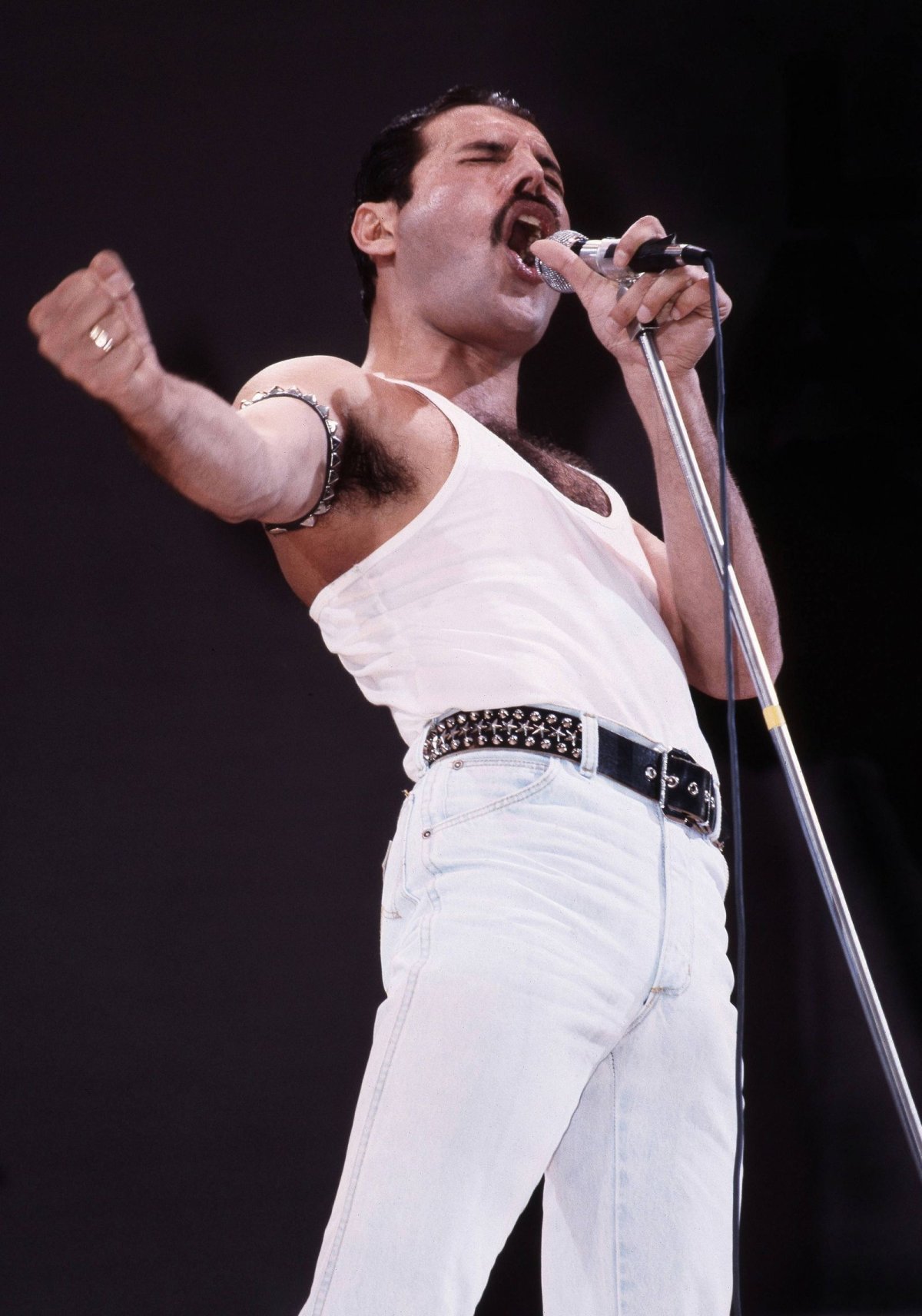Группа Queen Freddie Mercury
