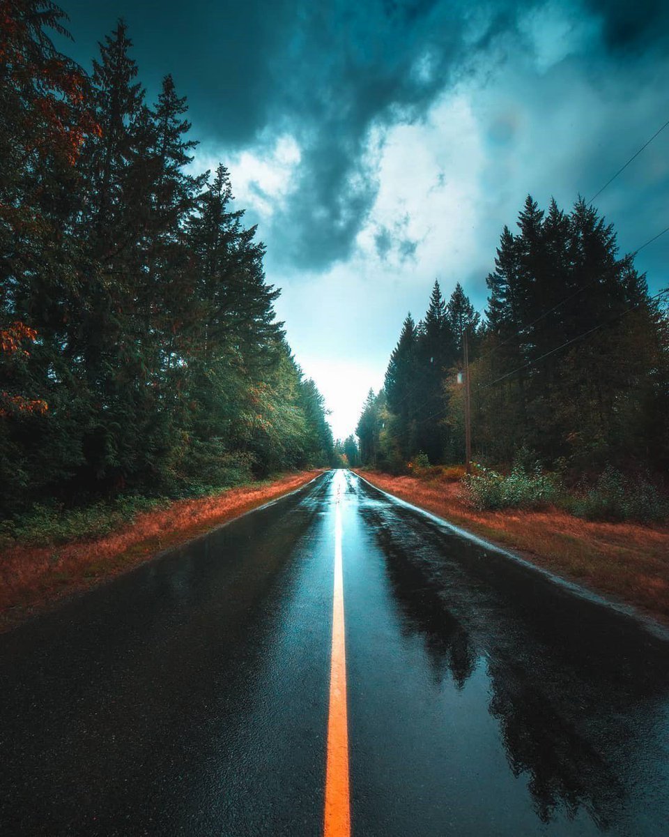 Дорога после дождя