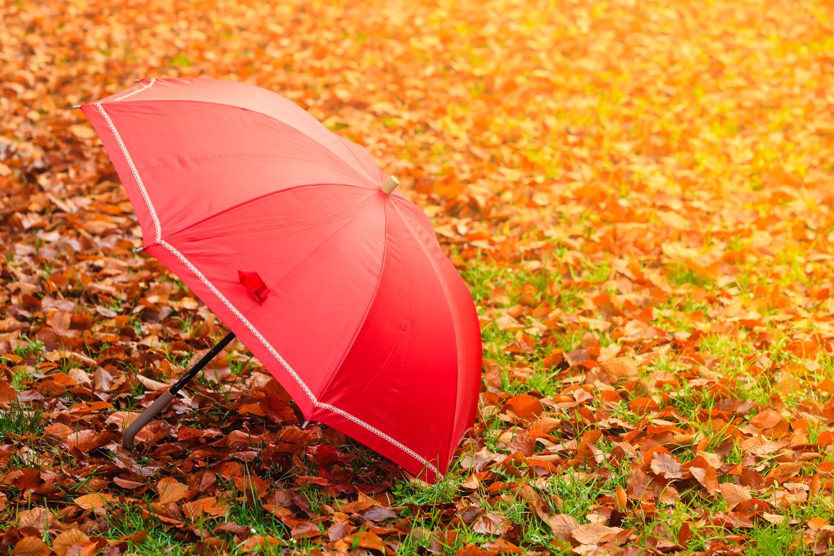 Зонтик в осенней тематике