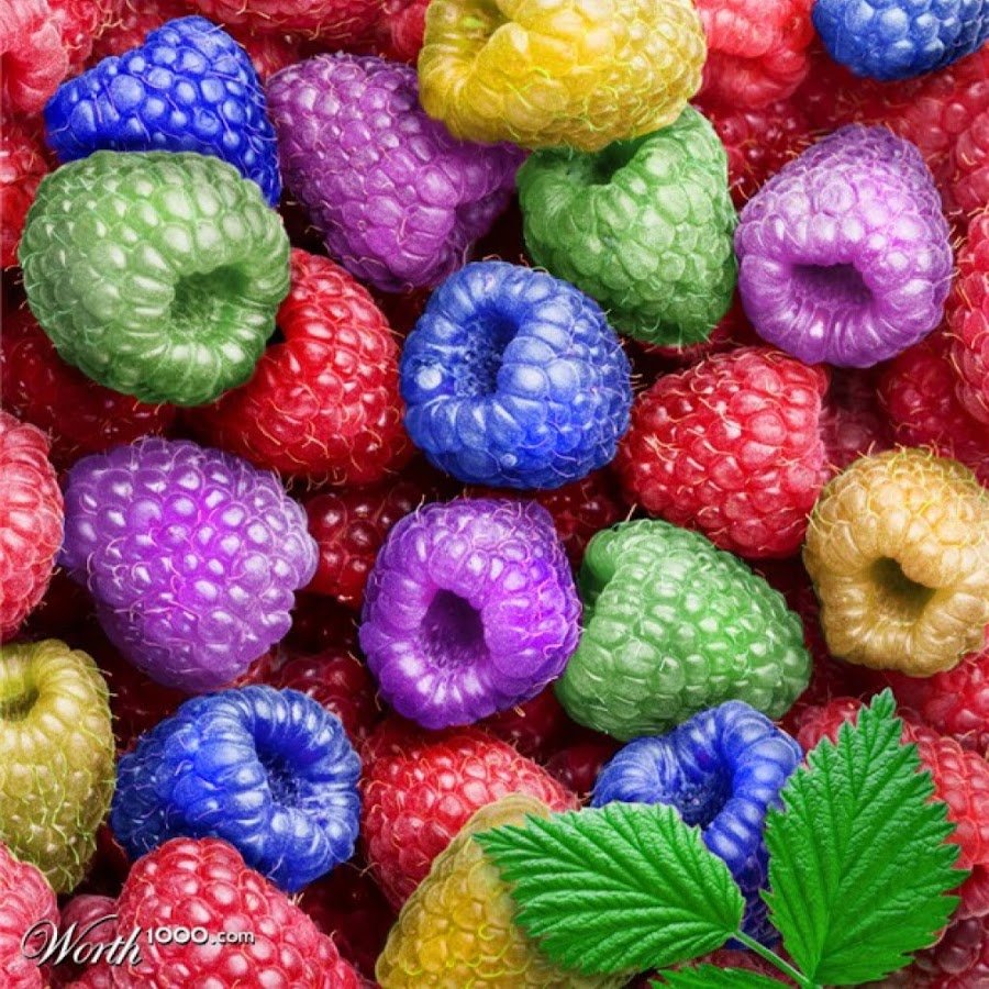 Разноцветные ягоды