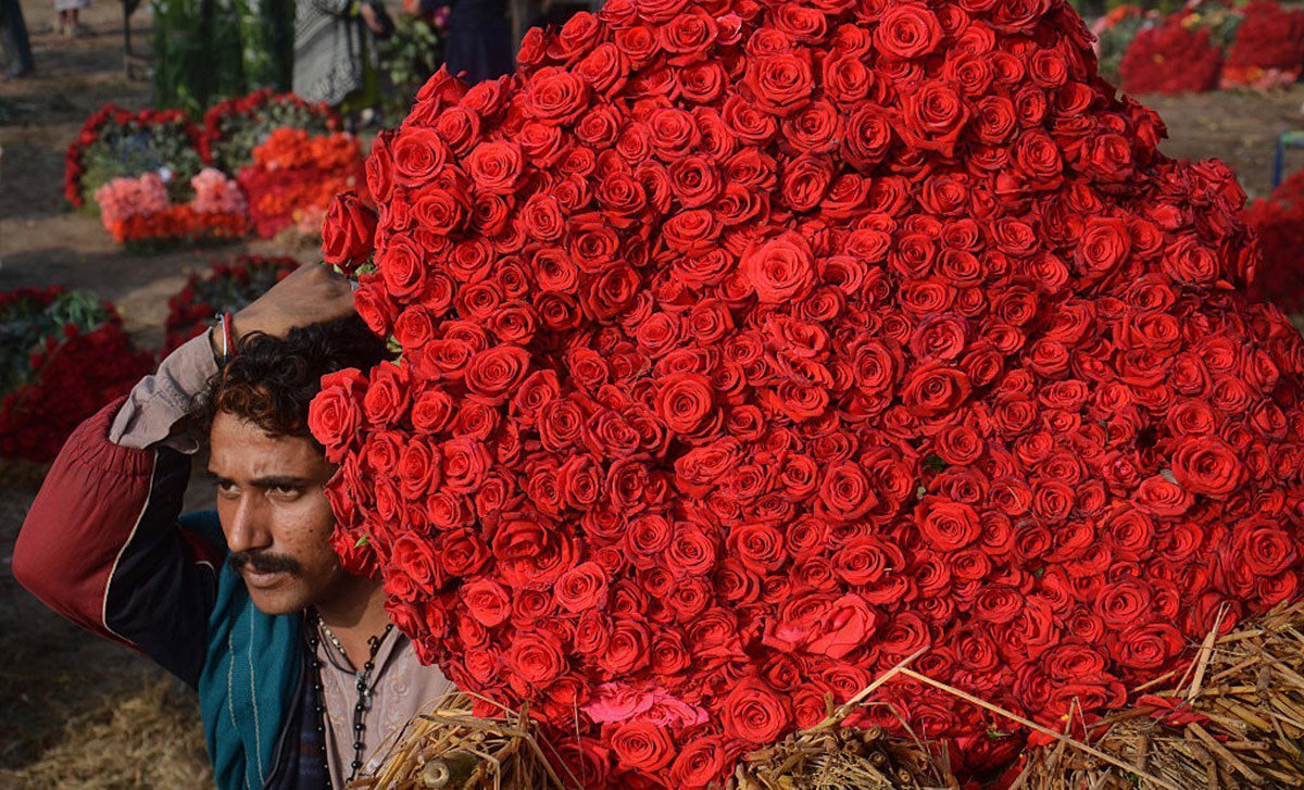 Таджик принес цветы. Миллион роз. Букет для мужчины. Миллион алых роз. Огромный букет.