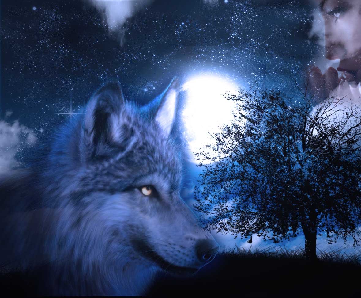 Волчица ночью