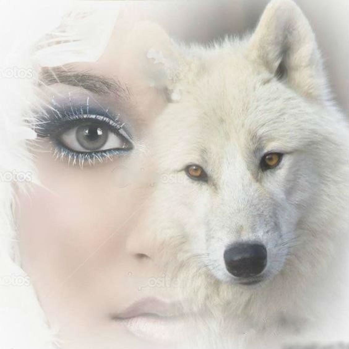 Глаза волчицы