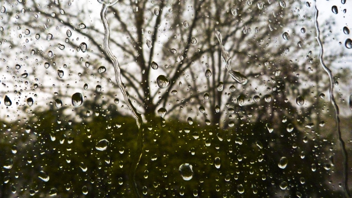 Капельки дождя на окне