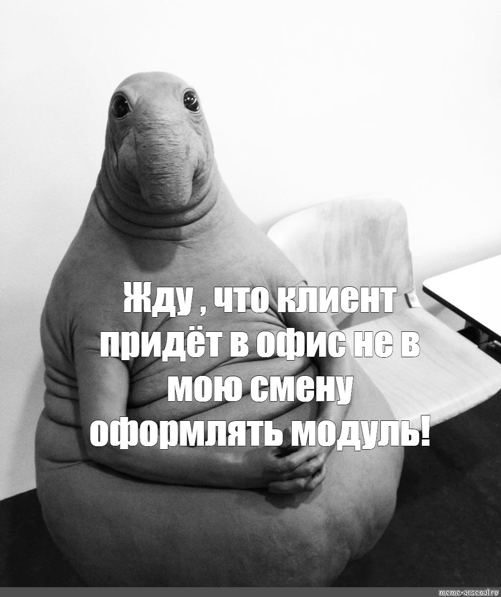 Жду прикол