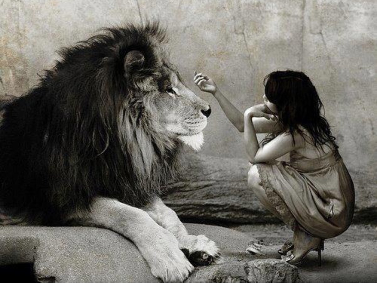 картинки женщина и мужчина лев