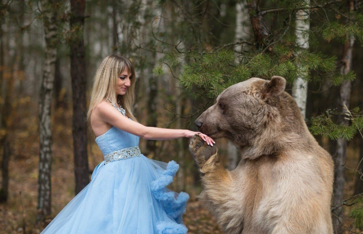 Фотосессия с медведем в лесу