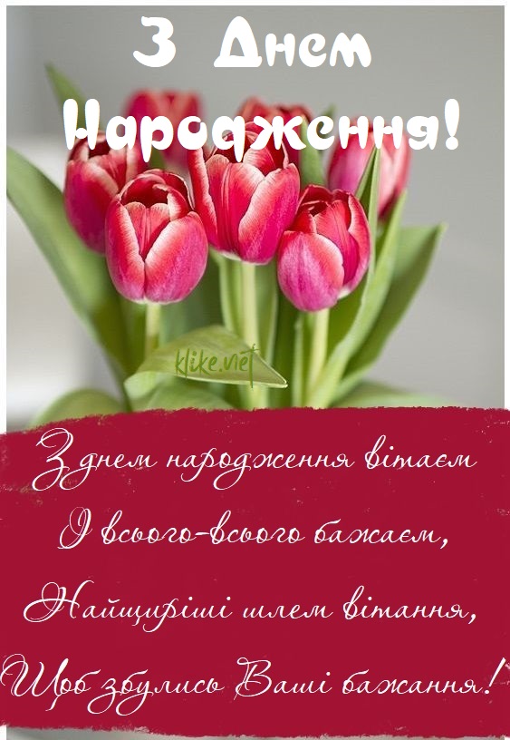 Красиві картинки З Днем Народження жінці 50 листівок