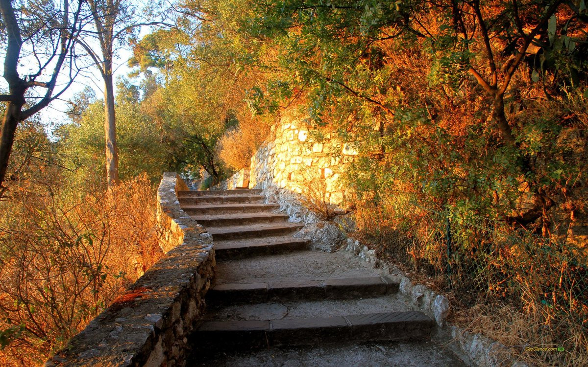 Photo steps. Осень лестница. Ступеньки осень. Лестница природа. Каменные ступени осень.